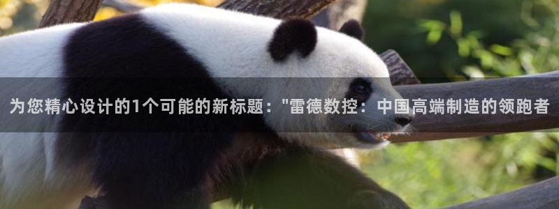 天辰娱乐黑人