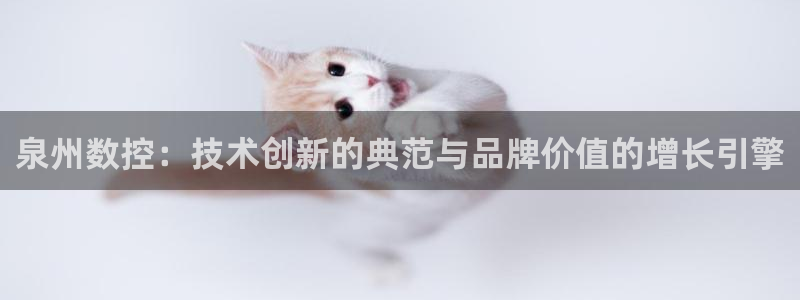天辰娱乐登录网址