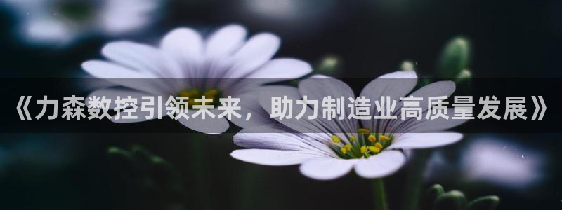 天辰娱乐视频