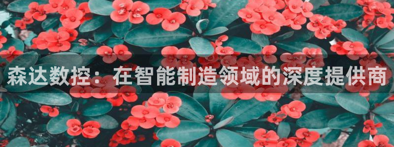 天辰娱乐官