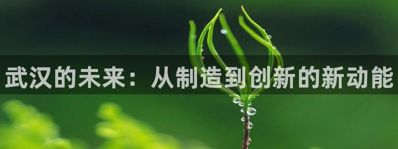 天辰娱乐文化