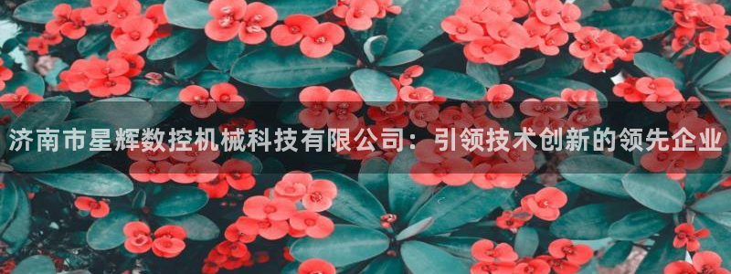 天辰娱乐官网平台下载