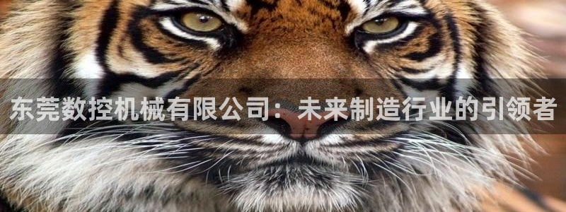天辰娱乐上级