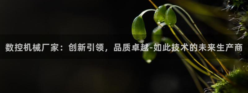 天辰在线娱乐