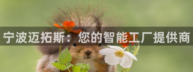 天辰娱乐平台登录账号