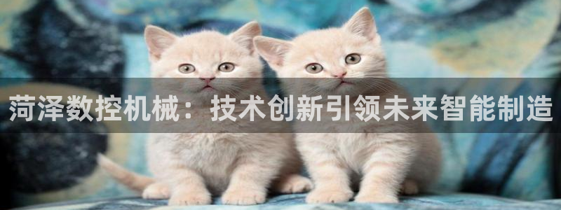 天辰娱乐开户