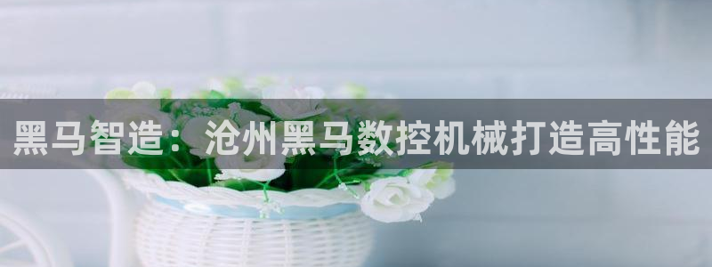 天辰娱乐传媒