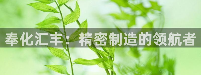 天辰娱乐 18113
