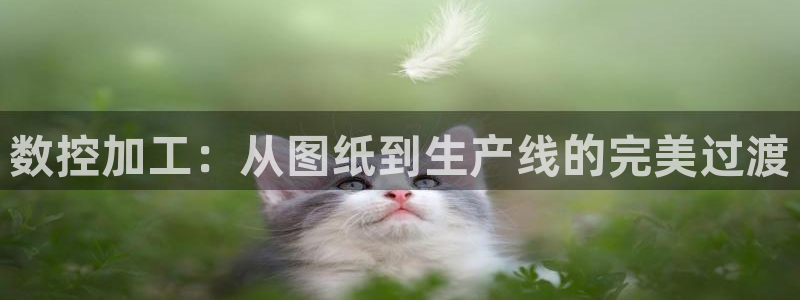 天辰娱乐游戏