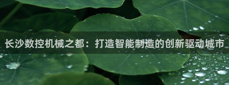 天辰娱乐APP下载