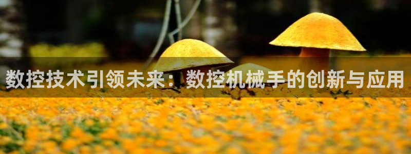 天辰娱乐台湾:数控技术引领未来:数控机械手的创新与应用