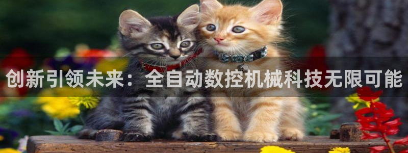 天辰娱乐老板:创新引领未来:全自动数控机械科技无限可能