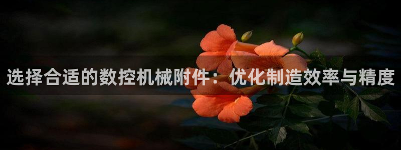 天辰娱乐84566