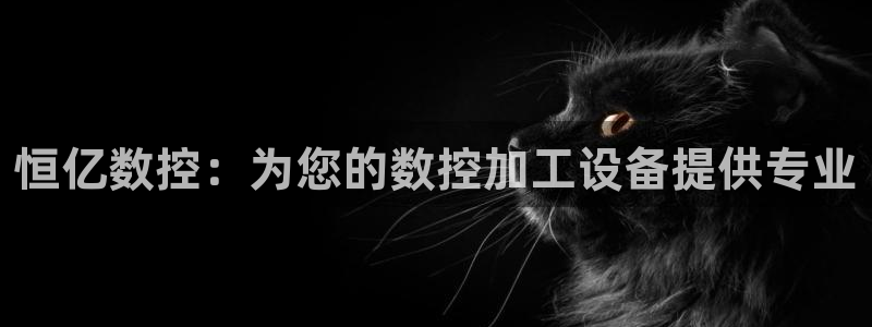 天辰娱乐总管