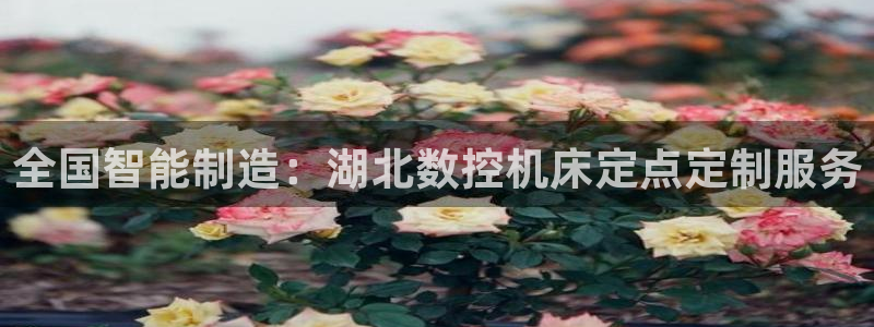 天辰娱乐总管年薪