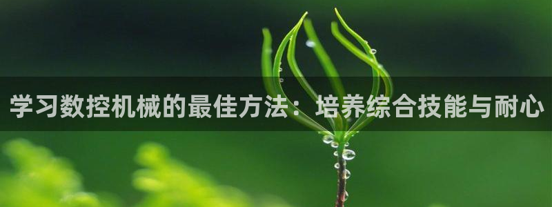 天辰娱乐入口