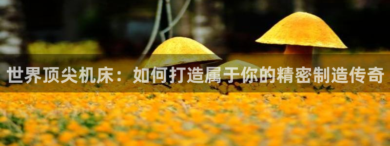 天辰娱乐小妹