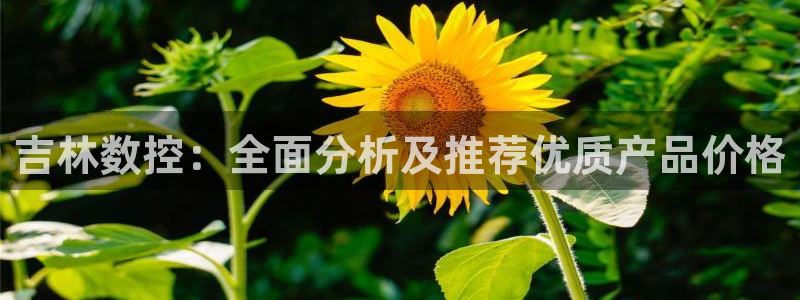 天辰娱乐服务