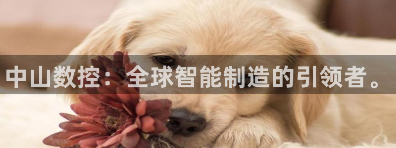 天辰娱乐 首选