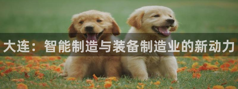 天辰娱乐主管
