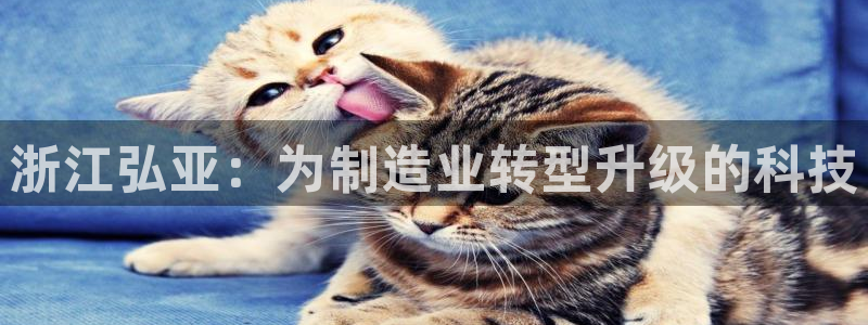 天辰国际娱乐