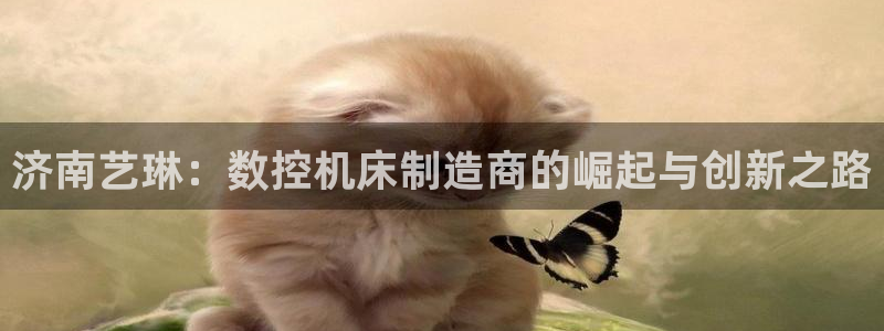 天辰娱乐小姐
