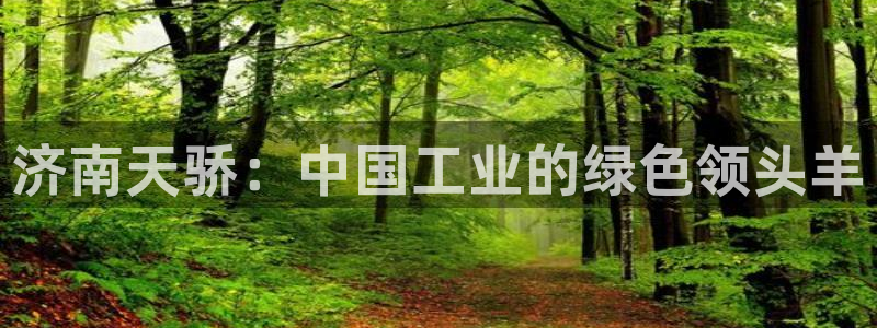 天辰娱乐_675138