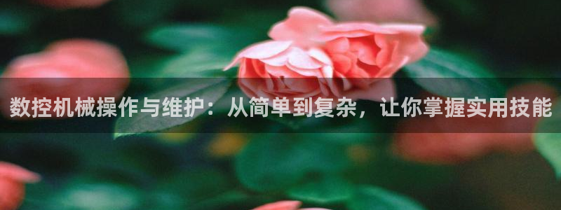 天辰娱乐登陆平台