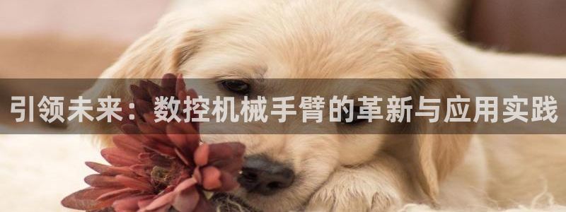 天辰娱乐61116