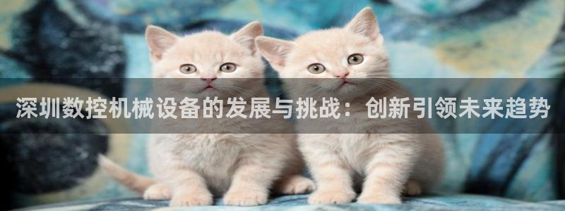 天辰娱乐服务