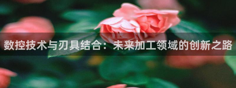 天辰娱乐平台地址在哪里