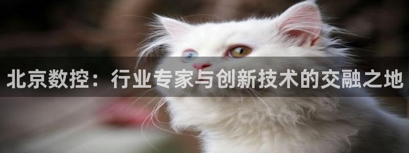 天辰娱乐直属