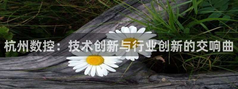 天辰娱乐957807
