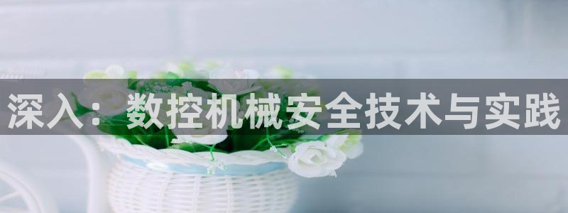 天辰娱乐1956