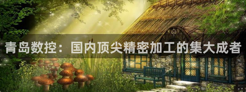nba天辰娱乐