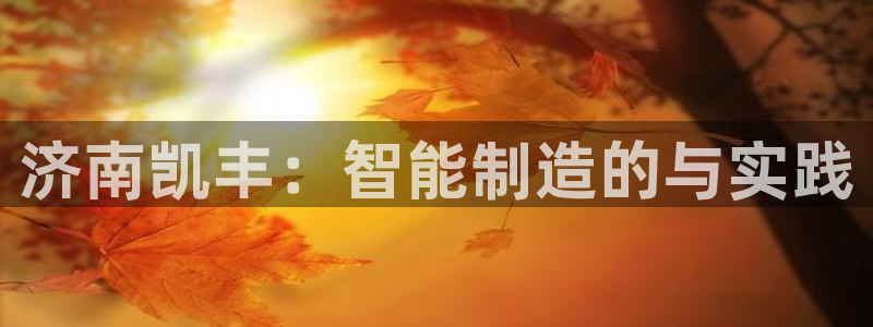 天辰娱乐51137