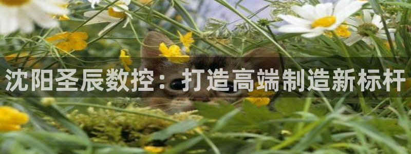 天辰娱乐指定