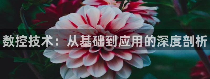 天辰娱乐网