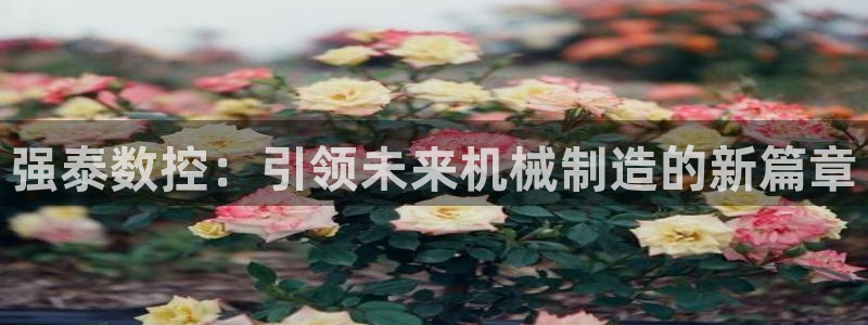 天辰水娱乐