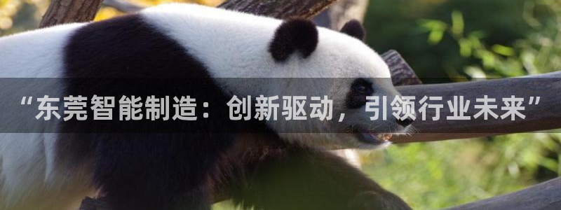 天辰娱乐官：“东莞智能制造：创新驱动，引领行业未来”