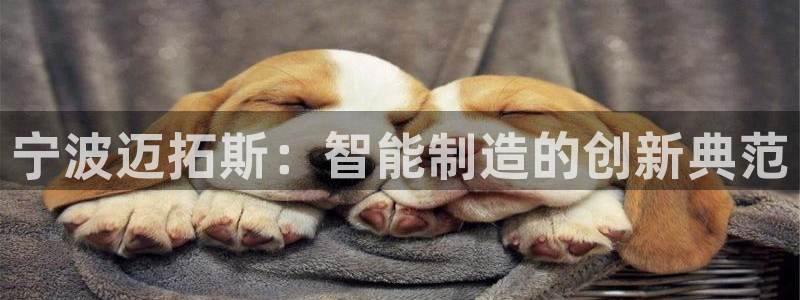 天辰 娱乐