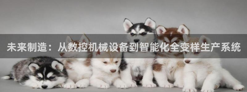天辰app娱乐：未来制造：从数控机械设备到智能化全变样生产系统