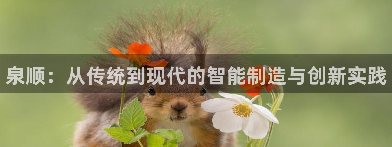 天辰娱乐新