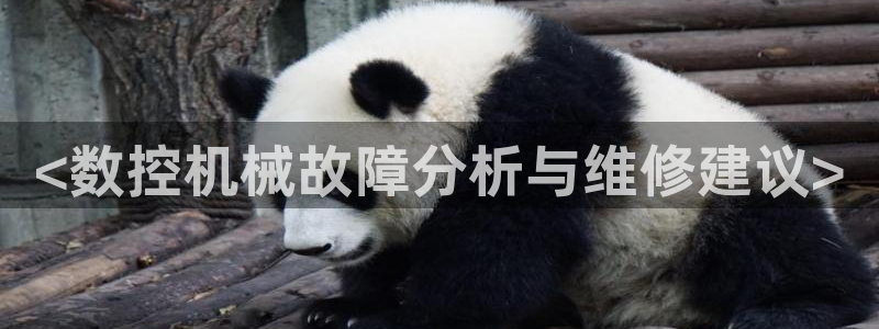 天辰娱乐平台