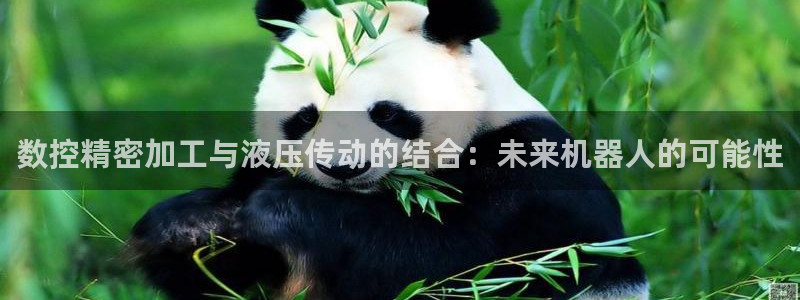 天辰娱乐路线