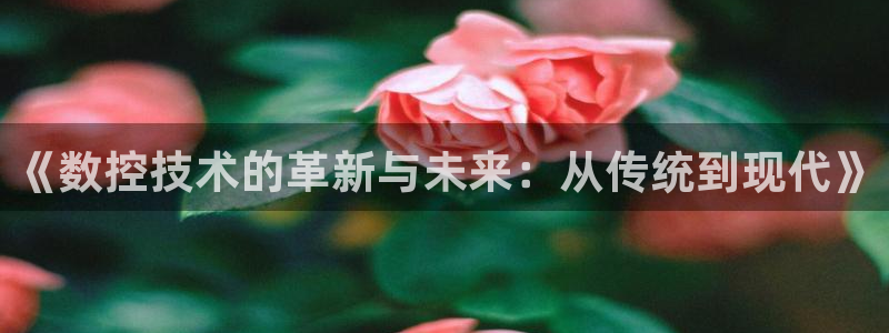 天辰娱乐 231639