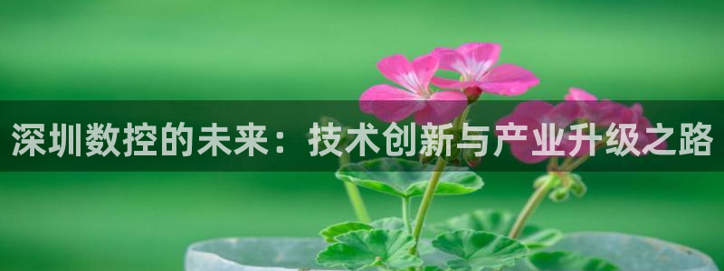 天辰娱乐84566