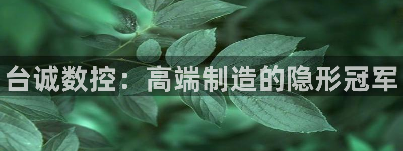 天辰娱乐股东