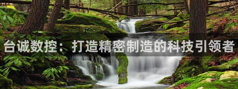 天辰娱乐tff