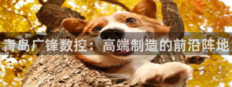 天辰娱乐885544